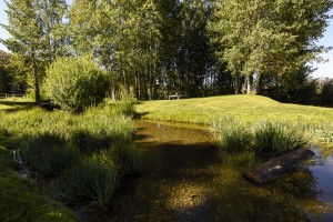 Morning Walk on Indian Creek